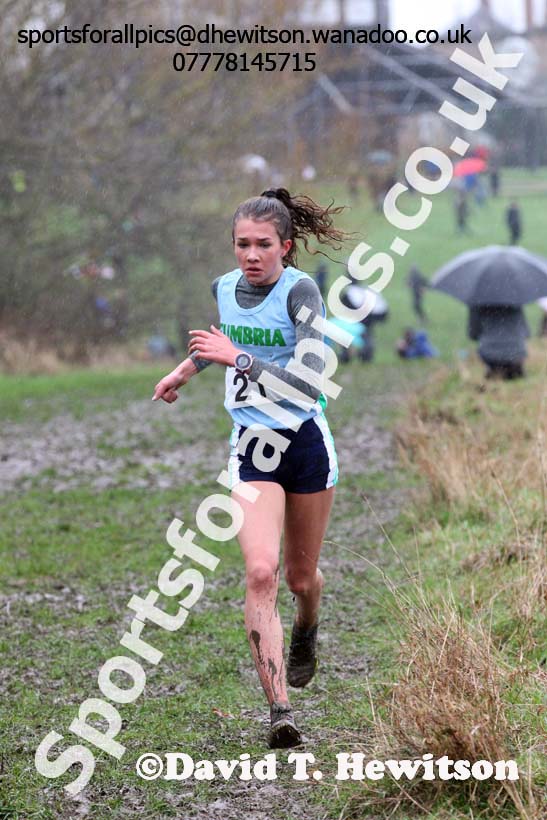 Junior girls Northern Inter Counties Schools Cross Country, Stockton. Photo: David T. Hewitson/Sports for All Pics